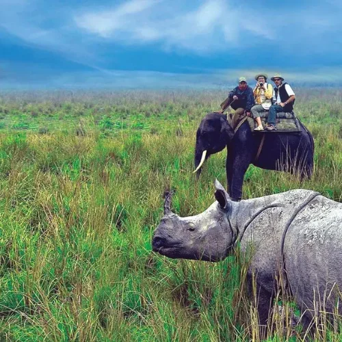 7 Nights & 8 Days Assam Tour Package-Guwahati-Shillong-kaziranga-Guwahati