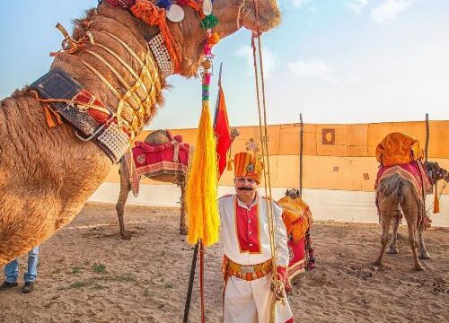 9N/10D Embark on a Royal Rajasthan Odyssey